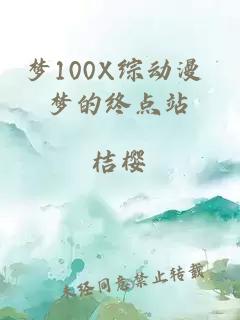 梦100X综动漫 梦的终点站