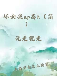 坏女孩np高h（简）