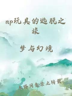 np玩具的逃脱之旅