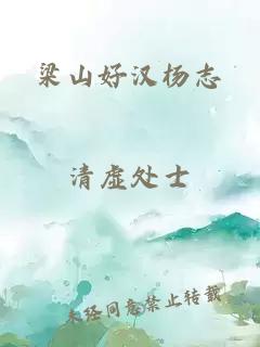 梁山好汉杨志