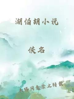 湖怕胡小说