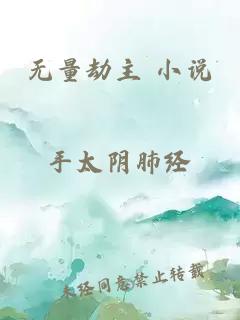 无量劫主 小说