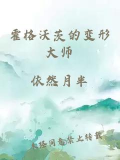 霍格沃茨的变形大师