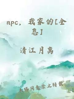 npc，我家的[全息]