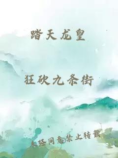 踏天龙皇