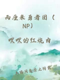 两厘米勇者团（NP）