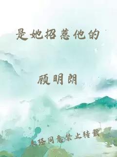 是她招惹他的