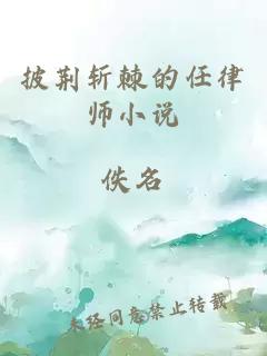 披荆斩棘的任律师小说