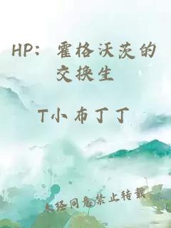 HP：霍格沃茨的交换生